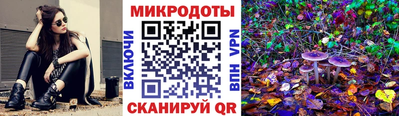 Галлюциногенные грибы MAGIC MUSHROOMS  Нюрба 