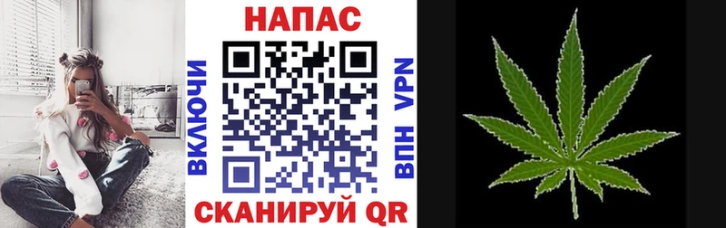 Бошки Шишки Amnesia  где найти   Нюрба 